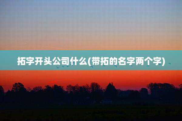 拓字开头公司什么(带拓的名字两个字)