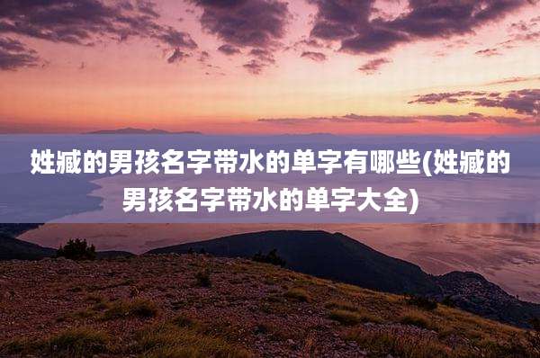 姓臧的男孩名字带水的单字有哪些(姓臧的男孩名字带水的单字大全)