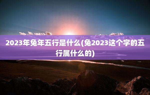 2023年兔年五行是什么(兔2023这个字的五行属什么的)
