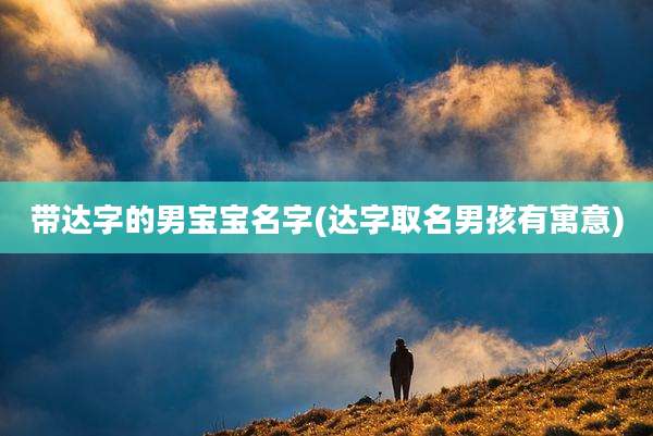 带达字的男宝宝名字(达字取名男孩有寓意)