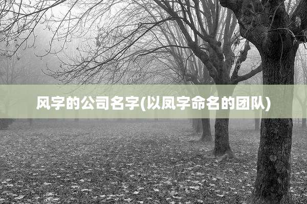 风字的公司名字(以凤字命名的团队)