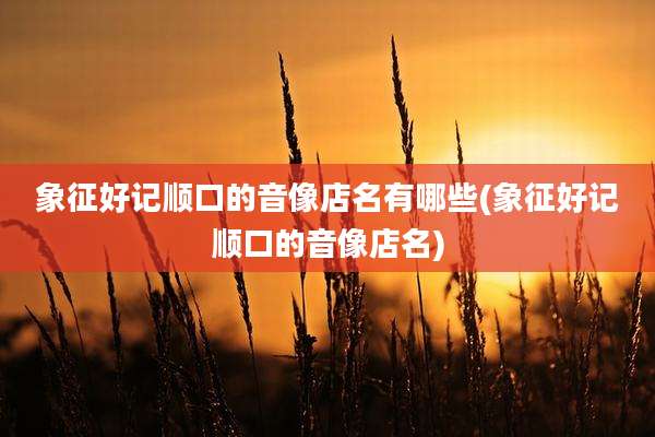 象征好记顺口的音像店名有哪些(象征好记顺口的音像店名)