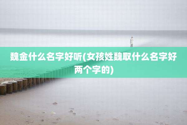 魏金什么名字好听(女孩姓魏取什么名字好两个字的)
