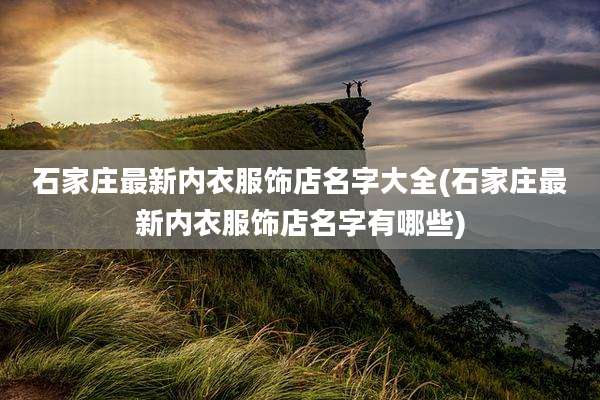 石家庄最新内衣服饰店名字大全(石家庄最新内衣服饰店名字有哪些)