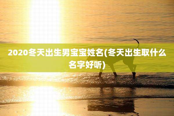 2020冬天出生男宝宝姓名(冬天出生取什么名字好听)