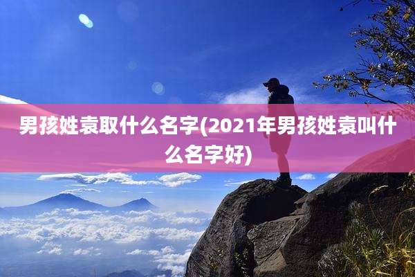 男孩姓袁取什么名字(2021年男孩姓袁叫什么名字好)