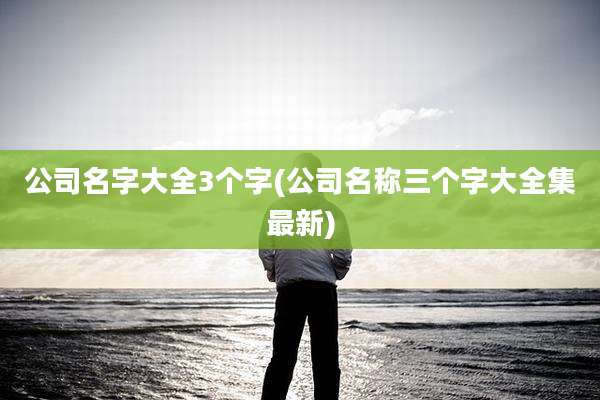 公司名字大全3个字(公司名称三个字大全集最新)
