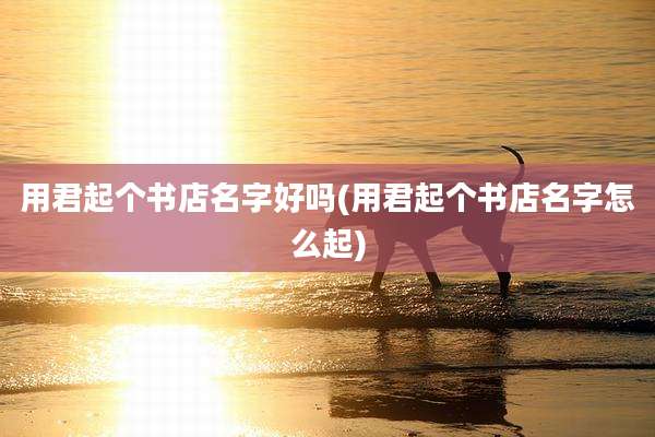 用君起个书店名字好吗(用君起个书店名字怎么起)
