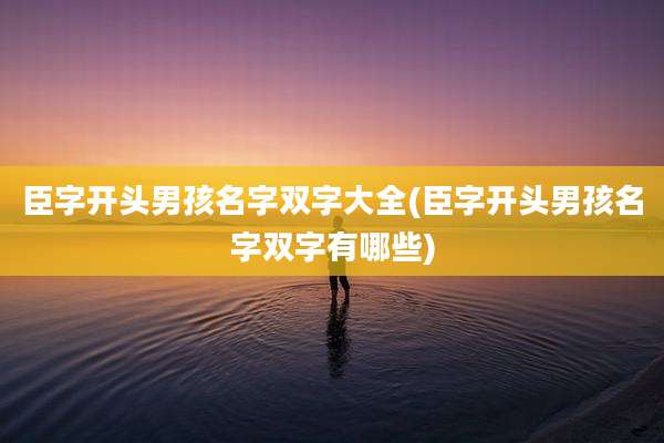 臣字开头男孩名字双字大全(臣字开头男孩名字双字有哪些)