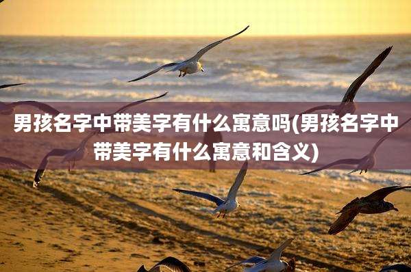 男孩名字中带美字有什么寓意吗(男孩名字中带美字有什么寓意和含义)