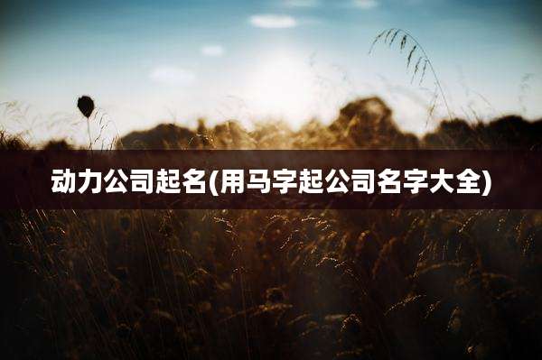 动力公司起名(用马字起公司名字大全)