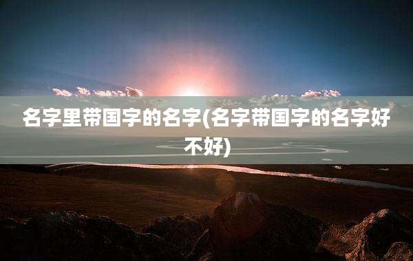 名字里带国字的名字(名字带国字的名字好不好)