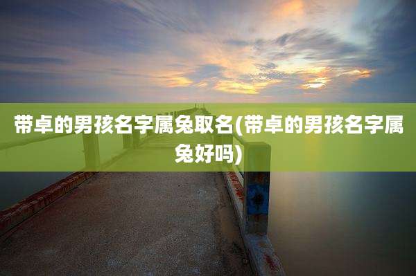 带卓的男孩名字属兔取名(带卓的男孩名字属兔好吗)