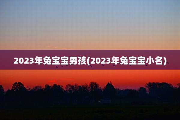 2023年兔宝宝男孩(2023年兔宝宝小名)