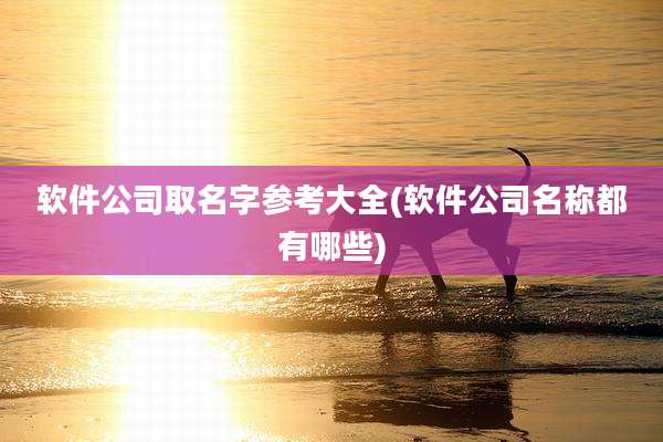软件公司取名字参考大全(软件公司名称都有哪些)