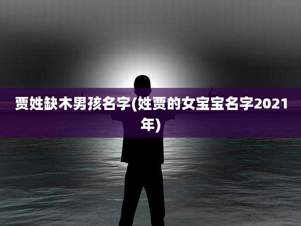 贾姓缺木男孩名字(姓贾的女宝宝名字2021年)