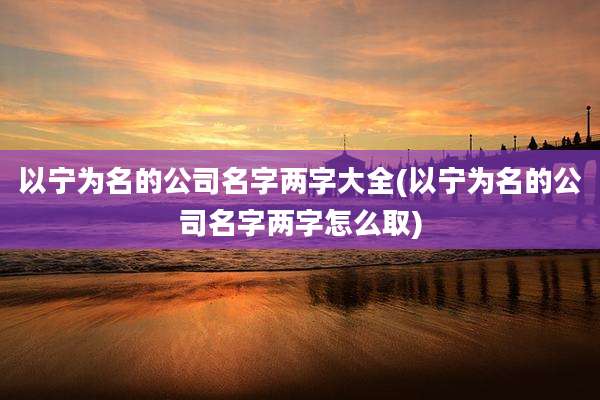 以宁为名的公司名字两字大全(以宁为名的公司名字两字怎么取)