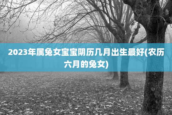 2023年属兔女宝宝阴历几月出生最好(农历六月的兔女)