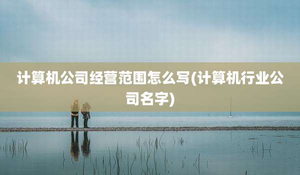 计算机公司经营范围怎么写(计算机行业公司名字)