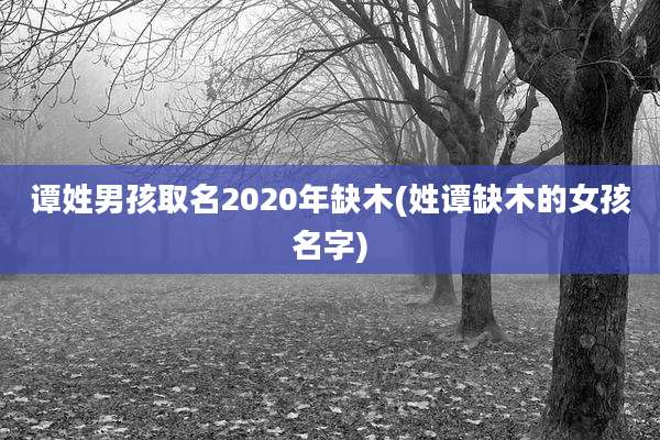 谭姓男孩取名2020年缺木(姓谭缺木的女孩名字)