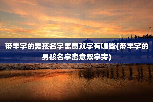 带丰字的男孩名字寓意双字有哪些(带丰字的男孩名字寓意双字旁)