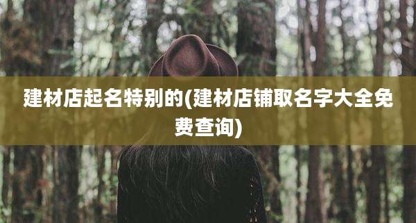 建材店起名特别的(建材店铺取名字大全免费查询)