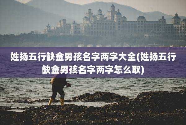 姓扬五行缺金男孩名字两字大全(姓扬五行缺金男孩名字两字怎么取)