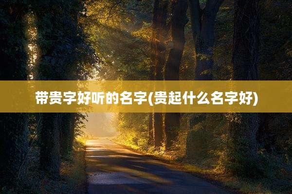 带贵字好听的名字(贵起什么名字好)