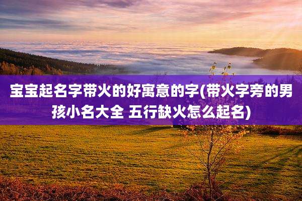 宝宝起名字带火的好寓意的字(带火字旁的男孩小名大全 五行缺火怎么起名)