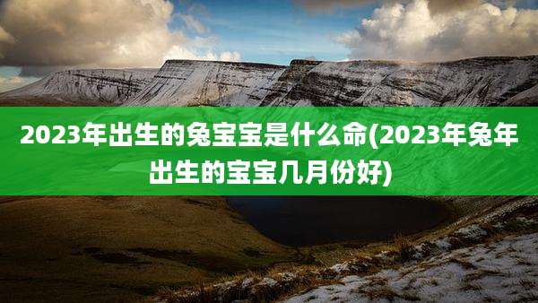 2023年出生的兔宝宝是什么命(2023年兔年出生的宝宝几月份好)