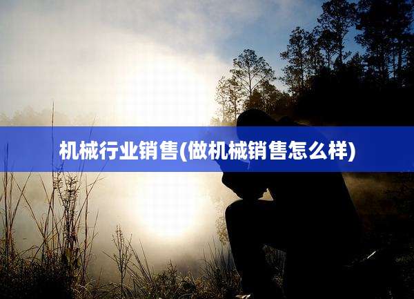 机械行业销售(做机械销售怎么样)