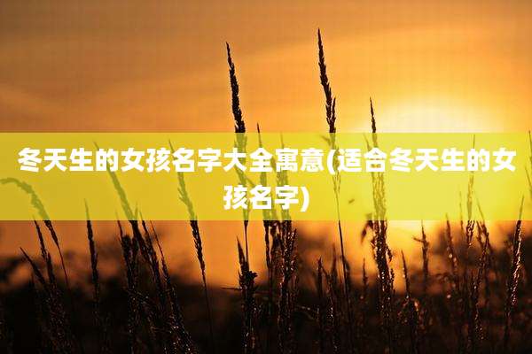 冬天生的女孩名字大全寓意(适合冬天生的女孩名字)