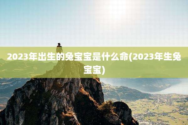 2023年出生的兔宝宝是什么命(2023年生兔宝宝)