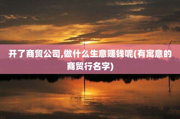 开了商贸公司,做什么生意赚钱呢(有寓意的商贸行名字)