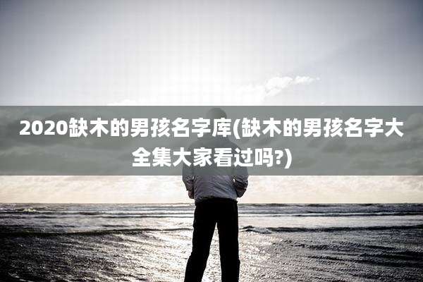 2020缺木的男孩名字库(缺木的男孩名字大全集大家看过吗?)