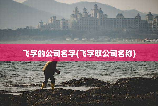 飞字的公司名字(飞字取公司名称)