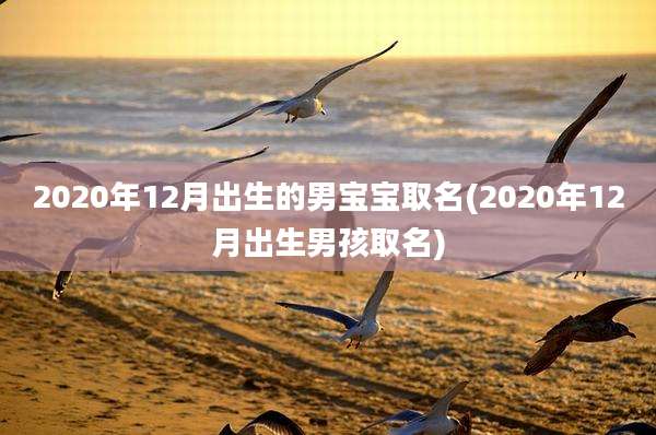 2020年12月出生的男宝宝取名(2020年12月出生男孩取名)