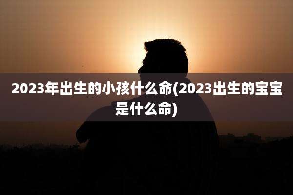 2023年出生的小孩什么命(2023出生的宝宝是什么命)