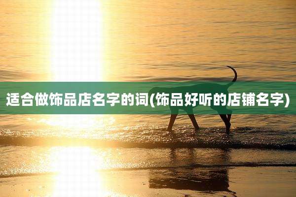 适合做饰品店名字的词(饰品好听的店铺名字)