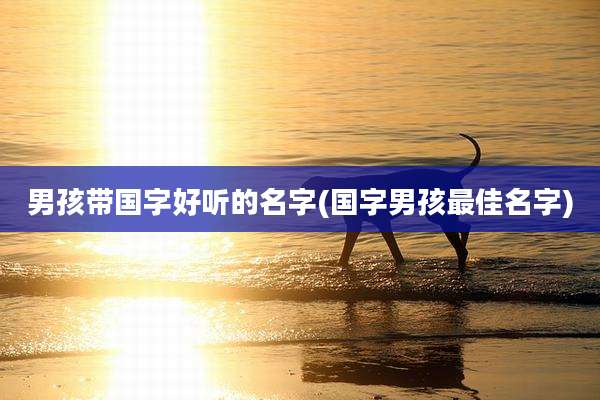 男孩带国字好听的名字(国字男孩最佳名字)