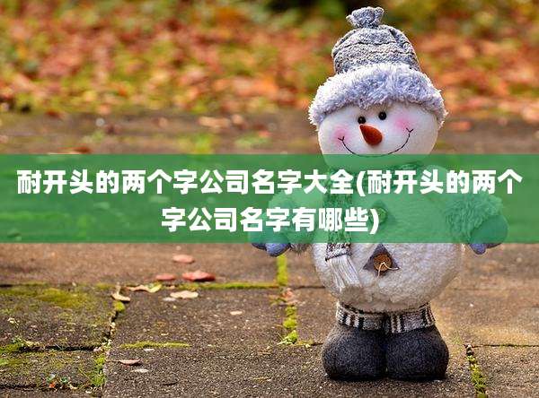 耐开头的两个字公司名字大全(耐开头的两个字公司名字有哪些)