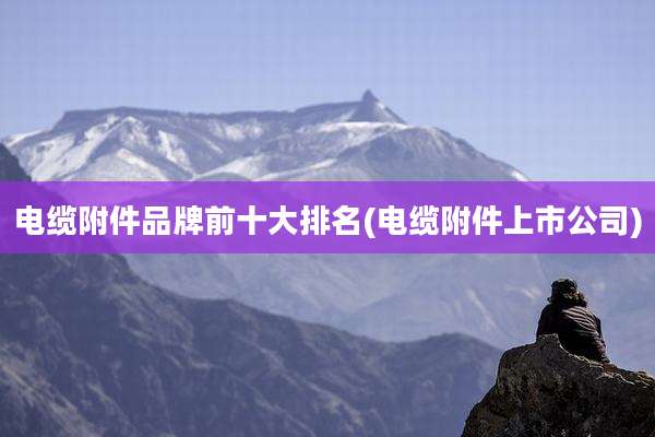 电缆附件品牌前十大排名(电缆附件上市公司)