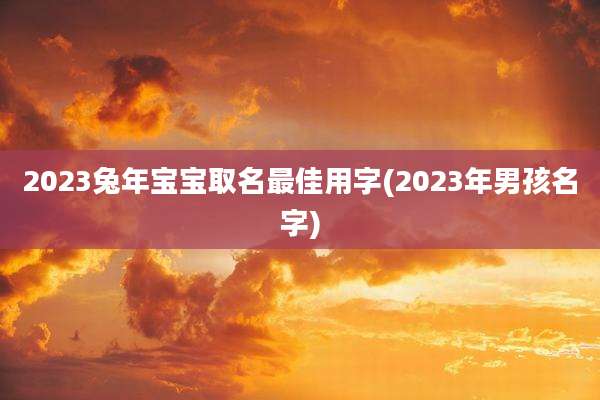 2023兔年宝宝取名最佳用字(2023年男孩名字)