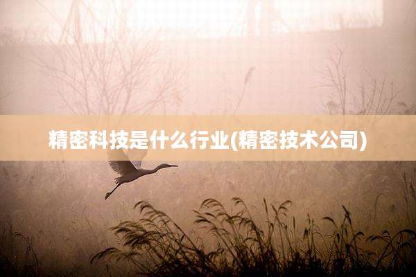 精密科技是什么行业(精密技术公司)