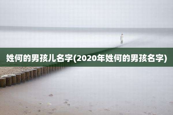 姓何的男孩儿名字(2020年姓何的男孩名字)