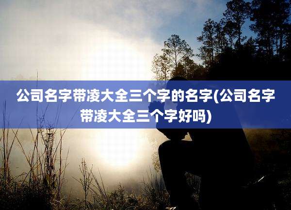 公司名字带凌大全三个字的名字(公司名字带凌大全三个字好吗)