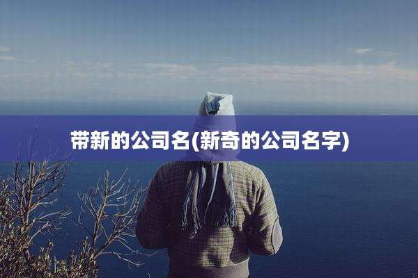 带新的公司名(新奇的公司名字)
