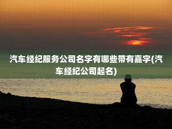 汽车经纪服务公司名字有哪些带有嘉字(汽车经纪公司起名)