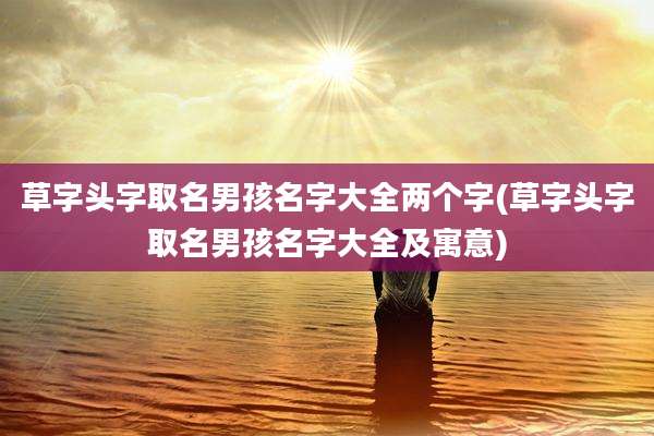 草字头字取名男孩名字大全两个字(草字头字取名男孩名字大全及寓意)