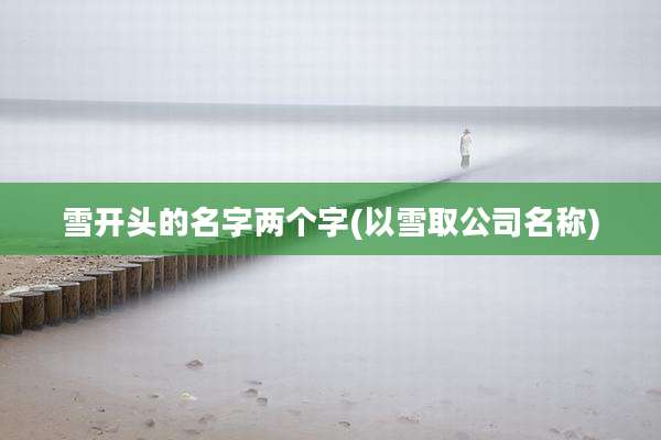 雪开头的名字两个字(以雪取公司名称)